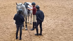 Reitunterricht Reitunterricht